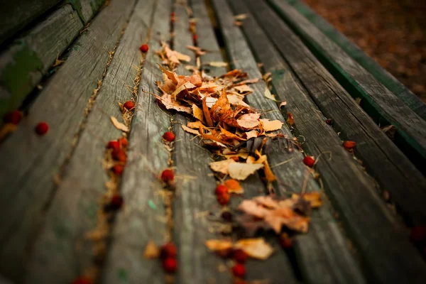 Natur im Herbst — Stockfoto