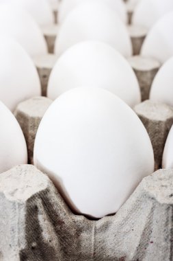 Beyaz yumurta karton Eko kutusunu kapatın