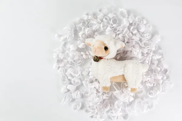白色的玩具羊在纸的卷发 — 图库照片