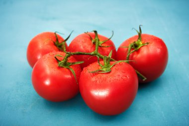 Mavi arka plan üzerinde kırmızı olgun domates