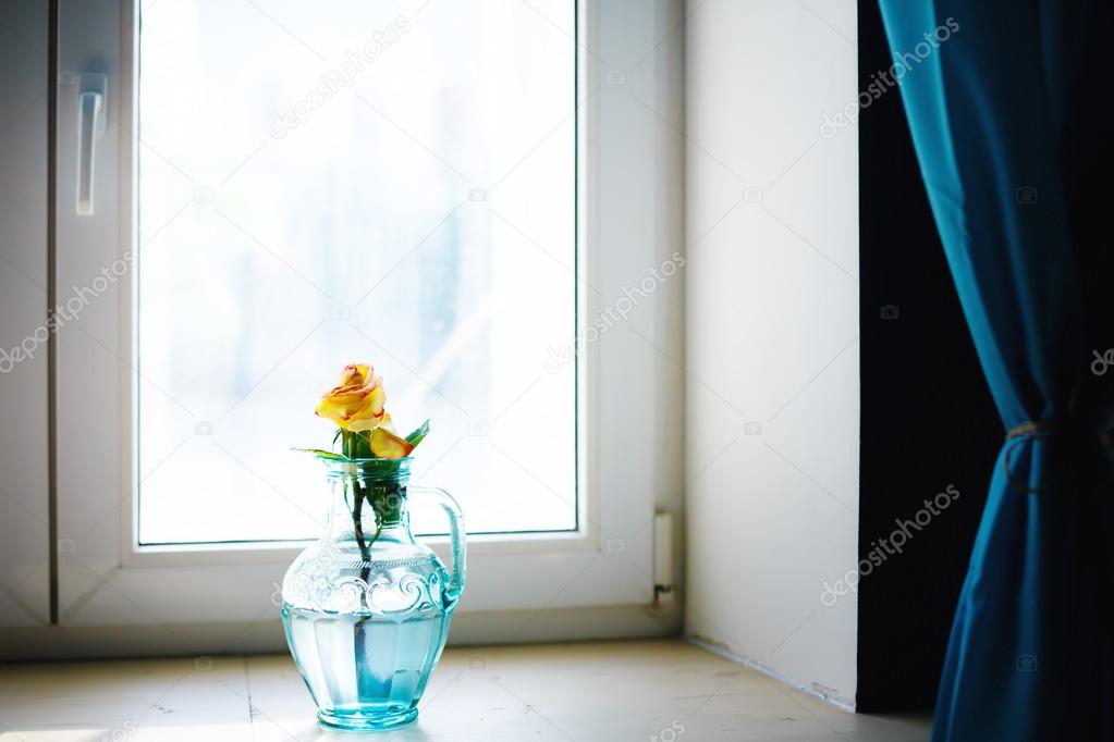 Rose flower in blue vase near window