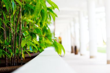 Beyaz otel lobisinin bulanık soyut resim 