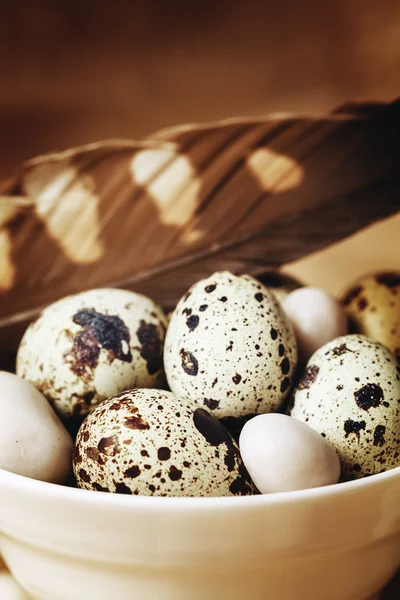 Lebensmittel Ostern Hintergrund mit Wachteleiern — Stockfoto