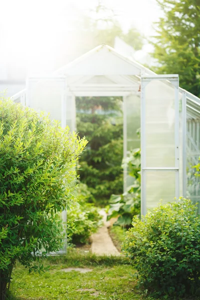 Natural spring background with greenhouse — Stock Photo, Image