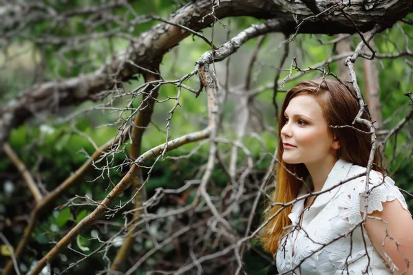 Increíble retrato de una hermosa mujer en el bosque — Foto de Stock