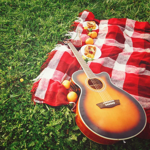 Picnic met gitaarmuziek op gras — Stockfoto