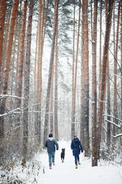 Young Family Having Fun with a Dog in Winter — Stock Photo, Image