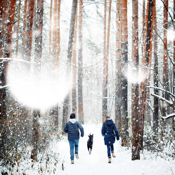 Ung familj ha kul med en hund i vinter — Stockfoto