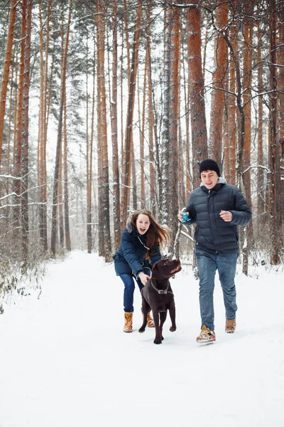 Pareja joven con un perro divirtiéndose en invierno —  Fotos de Stock