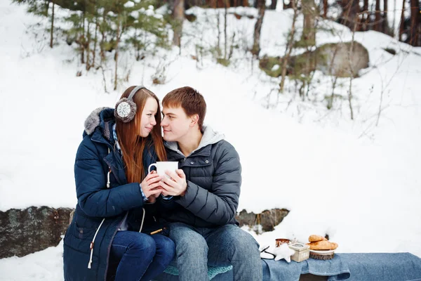幸福的夫妇在室外坐在冬天 免版税图库图片