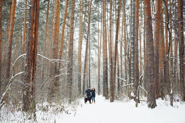 Casal jovem com um cão se divertindo no inverno Fotos De Bancos De Imagens