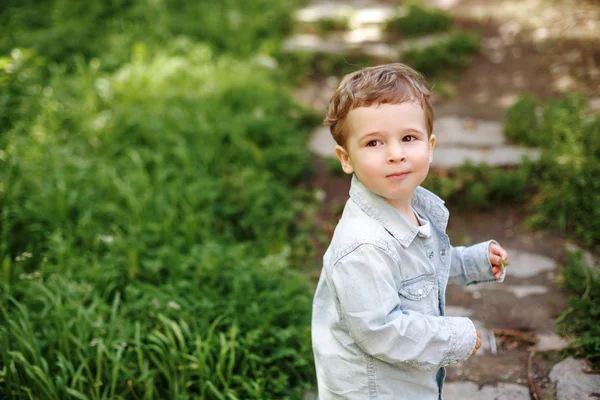 Liten pojke promenader i parken sommaren — Stockfoto