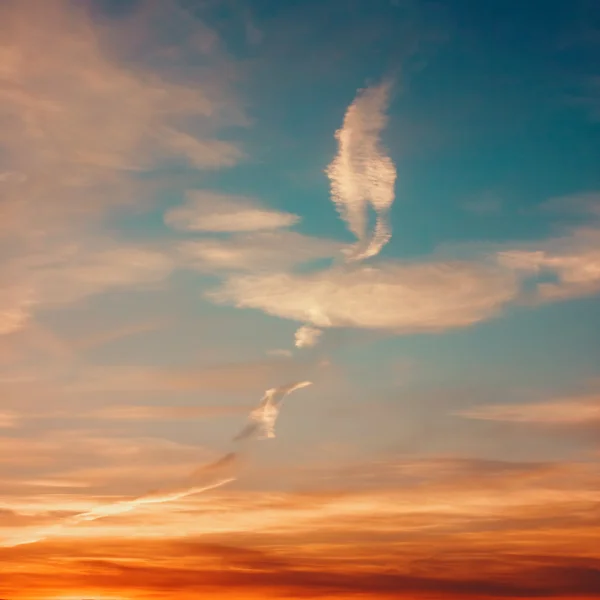 Sunset Sky with Beautiful Clouds — Stock Photo, Image