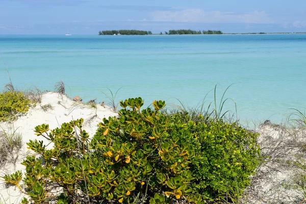 Stranden av Cayo Guillermo, Kuba — Stockfoto