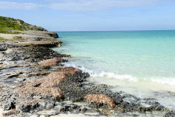 Stranden av Cayo Guillermo, Kuba — Stockfoto