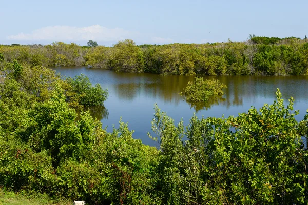 Wunderschöne Mangroven- und Meereslandschaft am Coyo Cocco — Stockfoto