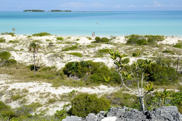 Folk simmar i klart vatten av Cayo Guillermo beach, Kuba — Stockfoto