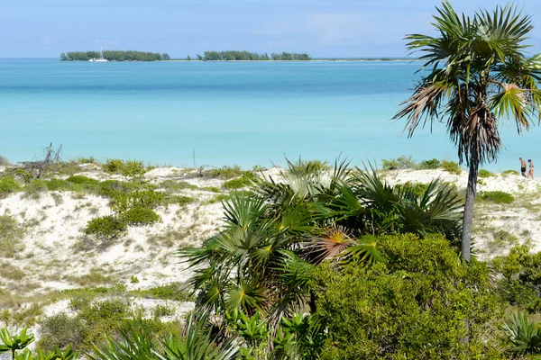 Stranden av Cayo Guillermo, Kuba — Stockfoto