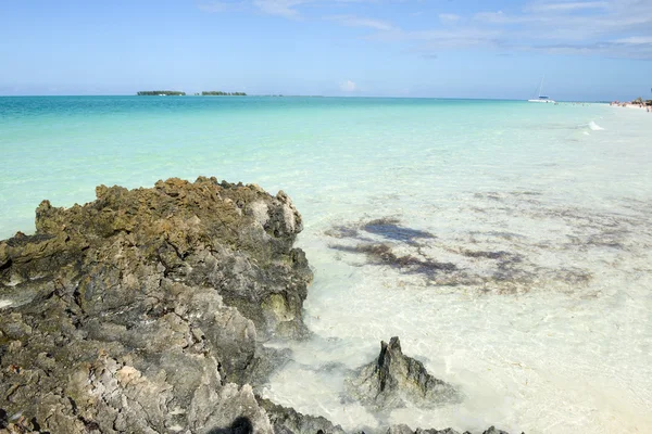 Stranden av Cayo Guillermo, Kuba — Stockfoto