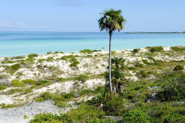 Playa de Cayo Guillermo, Cuba —  Fotos de Stock