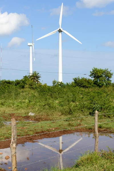 Groene weide met windturbines die elektriciteit opwekken — Stockfoto