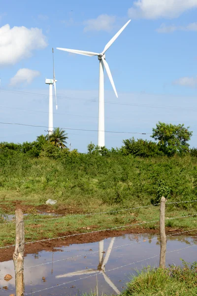 Зелений луг з вітровими турбінами, що генерують електрику — стокове фото