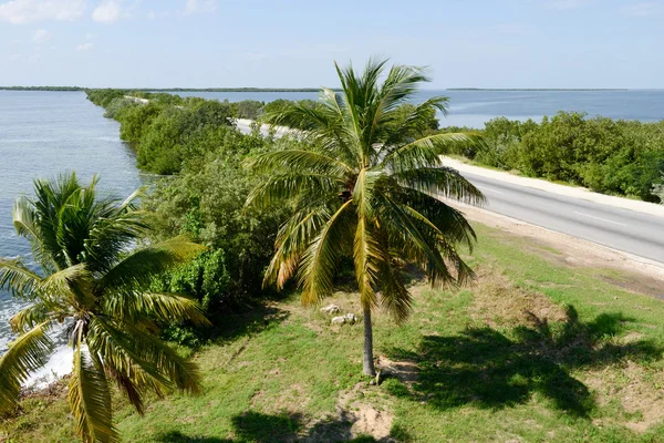 Camino a la isla de Cayo Coco a través del Atlántico —  Fotos de Stock