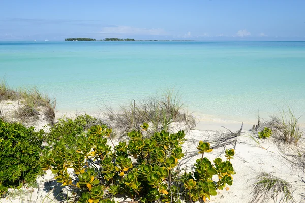 Stranden av Cayo Guillermo, Kuba — Stockfoto