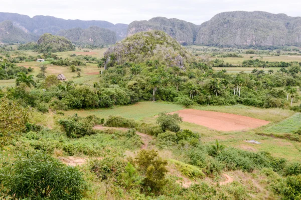 Панорамним видом на ландшафт з mogotes в Vinales долині — стокове фото