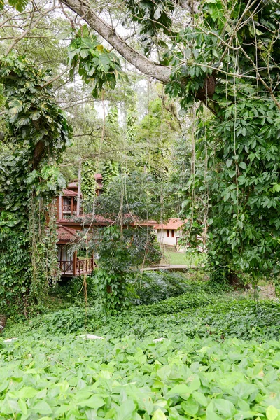 Tropické scény kolem údolí Vinales — Stock fotografie