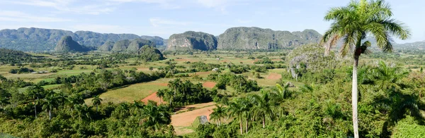 Panorámás kilátást nyújtó táj mogotes Vinales-völgyben — Stock Fotó