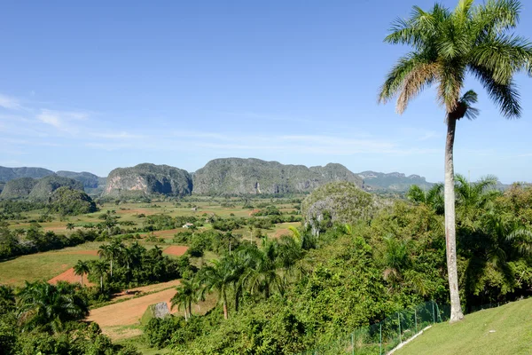Panoramic view over landscape with mogotes in Vinales Valley — Stock Photo, Image