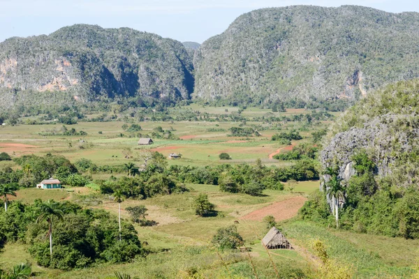 Panoramisch uitzicht over het landschap met mogotes in de Viñales Valley — Stockfoto