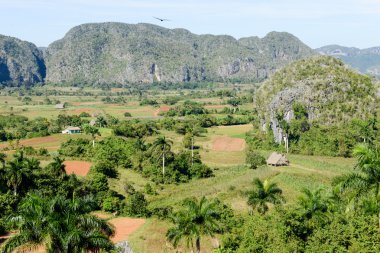 Yatay, mogotes Vinales Vadisi üzerinden panoramik görünüm