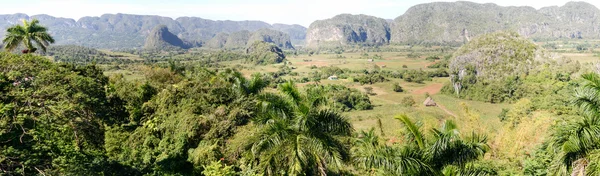 Panoramablick über Landschaft mit Buckelpisten im Vinales-Tal — Stockfoto