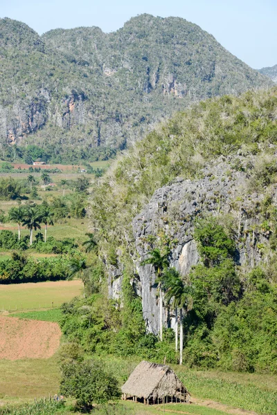 Panoramatický výhled na krajinu s mogotes v údolí Vinales — Stock fotografie