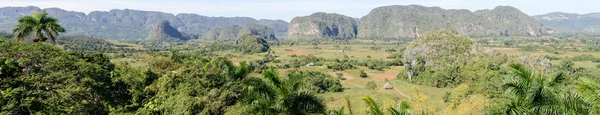 Vue panoramique sur paysage avec mogotes dans la vallée de Vinales — Photo