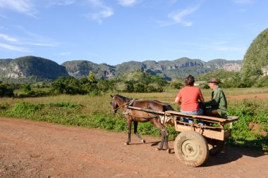 Vinales Vadisi Küba