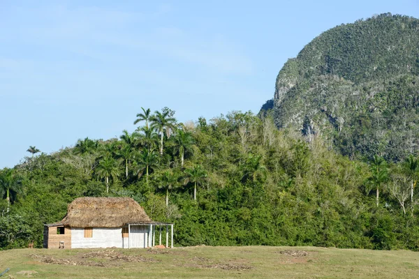 The valley of Vinales on Cuba — Stock Photo, Image