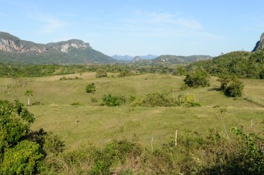 Vinales Vadisi Küba