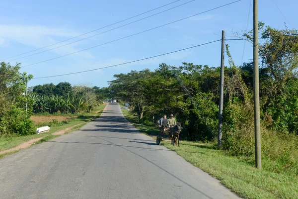 Wakacje na Kubie doliny na — Zdjęcie stockowe