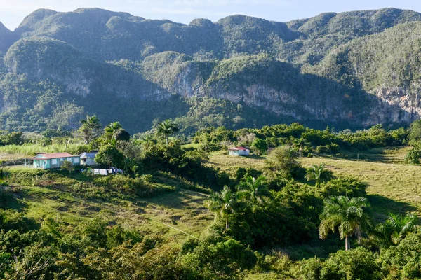 O vale de Vinales em Cuba — Fotografia de Stock