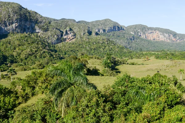 The valley of Vinales on Cuba — Stock Photo, Image
