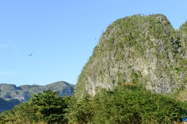 The valley of Vinales on Cuba — Stock Photo, Image