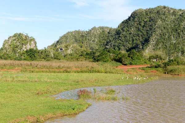 Das Tal der Vinales auf Kuba — Stockfoto