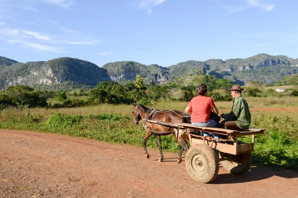 El valle de Vinales en Cuba —  Fotos de Stock