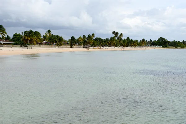 La spiaggia sabbiosa di nome Playa Giron a Cuba — Foto Stock