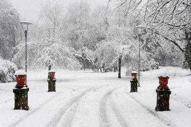 Botanik park Ciani Lugano Merkezi içinde
