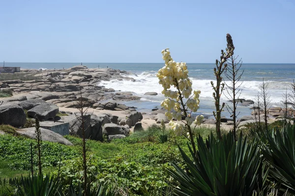 Punta del Diablo Beach in Uruguay — Stock Photo, Image