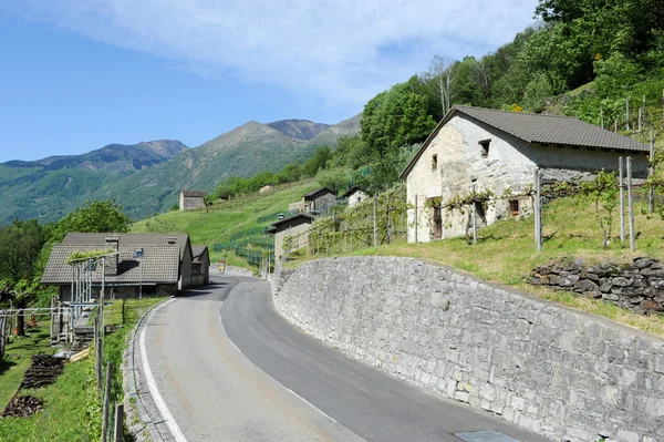 Paisagem rural em Medeglia — Fotografia de Stock